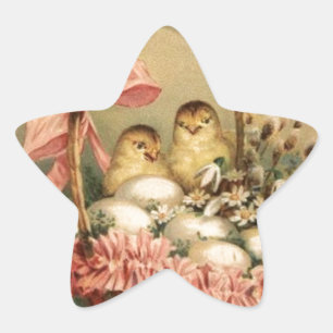 ELEGANTE BASKET, KIKENS, VLOEREN EN EENVOUDIGE EIE STER STICKER