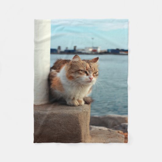 Elegante Beach Cat Fleece Deken (Voorkant)