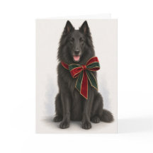 Elegante Belgische Herdershond Kerstkaart
