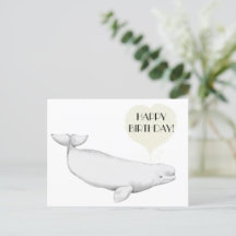 Elegante Belugawalus Illustratie Gefeliciteerd met