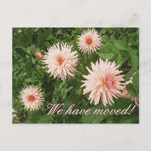 Elegante bewegende briefkaarten met Chrysanthemum (Voorkant)
