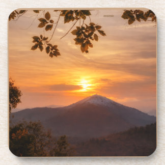 elegante  bier onderzetter