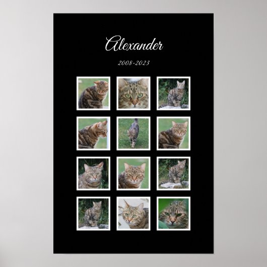 Elegante Black Pet-poster met 12 fotostickers Poster (Voorkant)