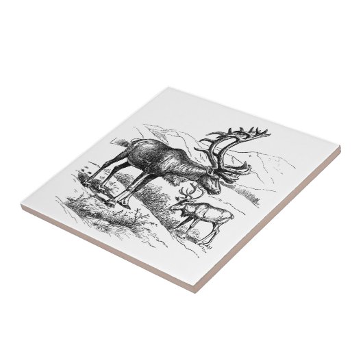 Elegante  Black White Mountain rendier Tegeltje (Zijkant)