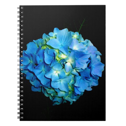 Elegante blauwe bloem bloemenhortensia notitieboek (Voorkant)