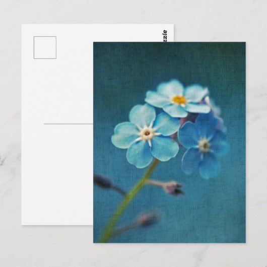 Elegante Blauwe Bloemen Vergeet-mij-nietje Briefkaart (Voorkant / Achterkant)