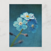 Elegante Blauwe Bloemen Vergeet-mij-nietje Briefkaart (Voorkant)