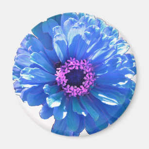 Elegante blauwe bloemenblauwe madeliefje magneet