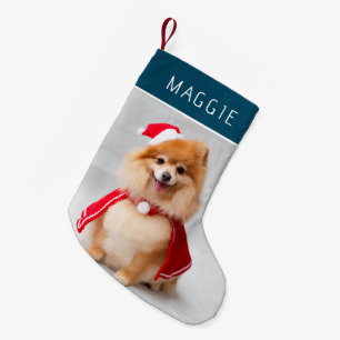 Elegante Blauwe Huisdierhond Foto Aangepaste Naam Kleine Kerstsok