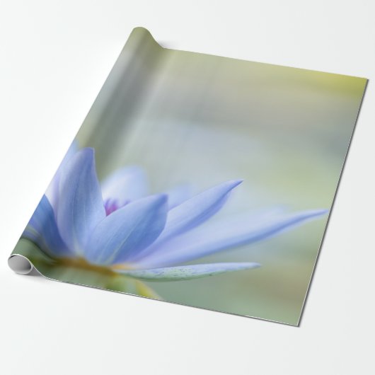 Elegante Blauwe Lotus Cadeaupapier (Uitgerold)