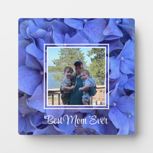 Elegante blauwe maagdenpalm florale hortensia's fotoplaat (Voorkant)