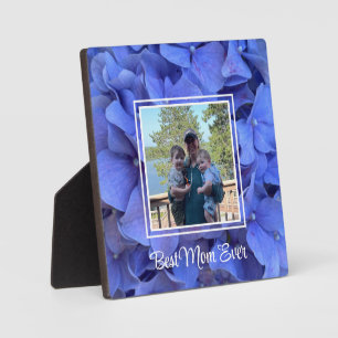 Elegante blauwe maagdenpalm florale hortensia's fotoplaat