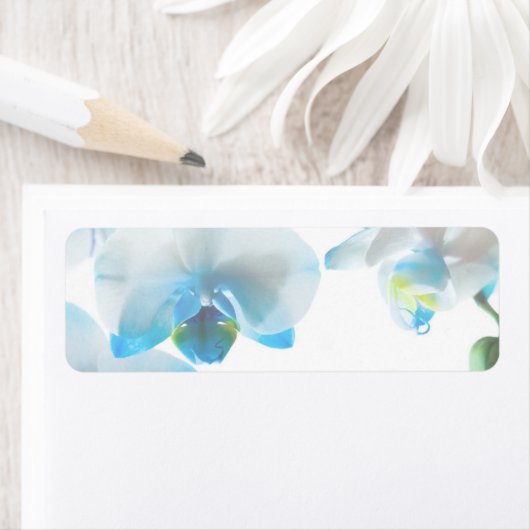 Elegante Blauwe Orchideeën Aangepaste Labels (Insitu)