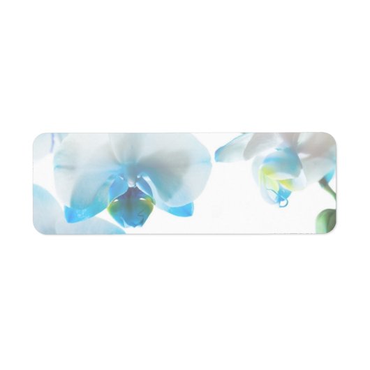 Elegante Blauwe Orchideeën Aangepaste Labels (Voorkant)