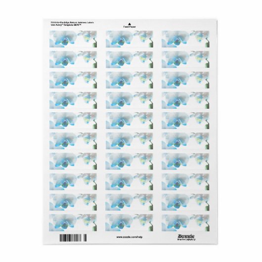 Elegante Blauwe Orchideeën Aangepaste Labels (Full Sheet)