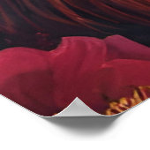 Elegante Blauwe Peacock in Kleurrijke Tuin Poster (Hoek)