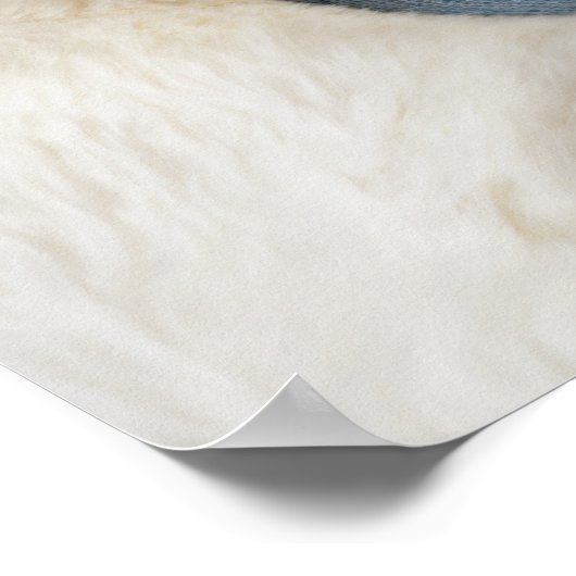 Elegante Blauwe Religieuze Kruis Jongens Doop Welk Poster (Hoek)