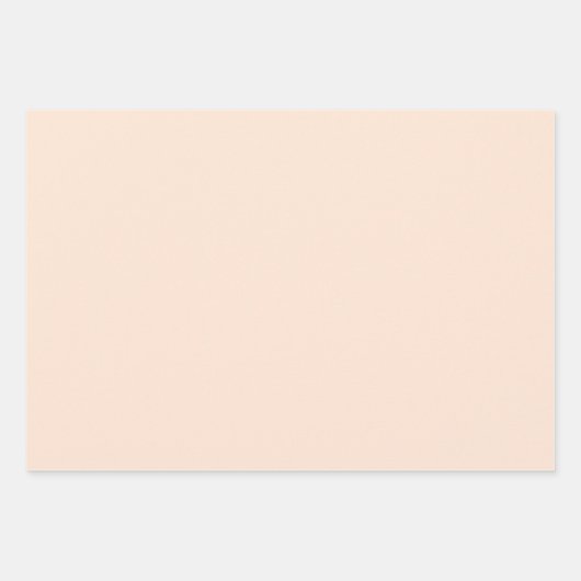 Elegante bleke perzik Minimalistisch en chique Inpakpapier Vel (Voorkant)