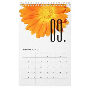 Elegante Bloem Kleurrijke Bloemen Bloemenliefhebbe Kalender