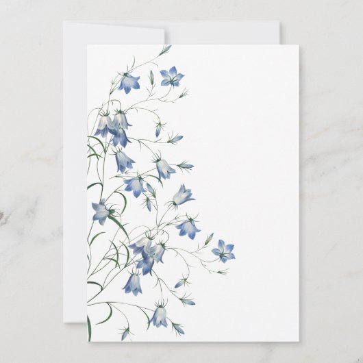 Elegante Bloemen Blauwe Bellflower We bonden de Kn Kaart (Achterkant)