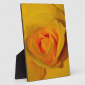 Elegante bloemen bloem Gele Roos Fotoplaat (Zijkant)