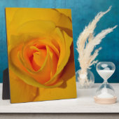 Elegante bloemen bloem Gele Roos Fotoplaat (Zijkant)