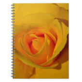 Elegante bloemen bloem Gele Roos Notitieboek (Voorkant)