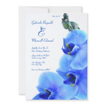 Elegante Bloemenliefde Blauwe Orchideeën Bruiloft