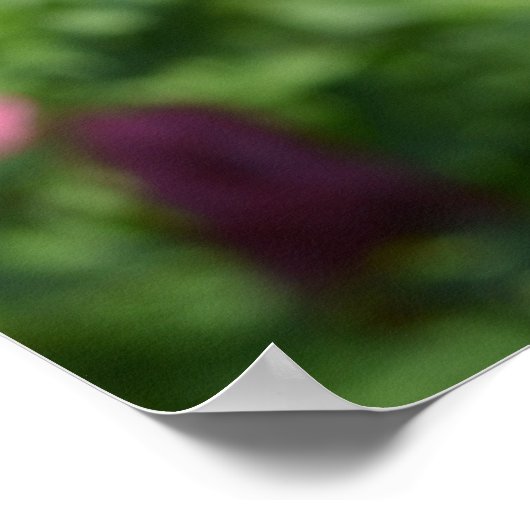 Elegante bloementuin rood sinaasappel roze bloemet poster (Hoek)