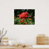 Elegante bloementuin rood sinaasappel roze bloemet poster (Keuken)