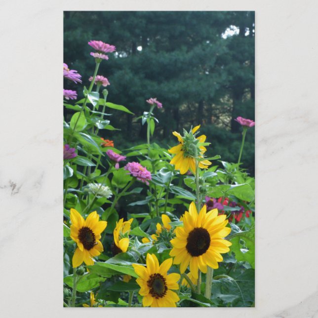 Elegante bloementuin zonnebloemen zinnia mums (Voorkant)