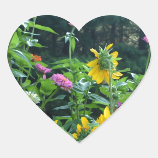 Elegante bloementuin zonnebloemen zinnia mums hart sticker (Voorkant)