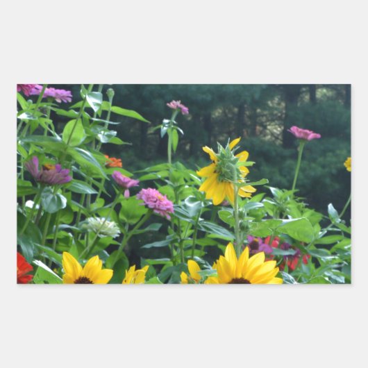 Elegante bloementuin zonnebloemen zinnia mums rechthoekige sticker (Voorkant)