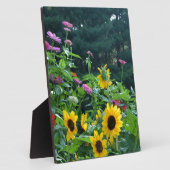 Elegante bloementuin zonnebloemen zinnias madelief fotoplaat (Zijkant)