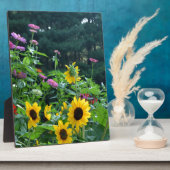 Elegante bloementuin zonnebloemen zinnias madelief fotoplaat (Zijkant)