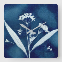 Elegante Bloemige Zijdeplant Cyanotype