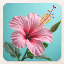 Elegante Blos: Roze Hibiscus Straling