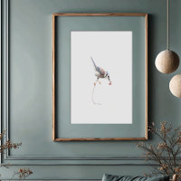 Elegante Blue Jay Waterverf kunst met rode bessen