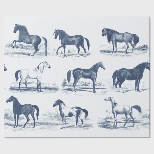 Elegante  Blue Toile paardenrassen Cadeaupapier (Zoom)
