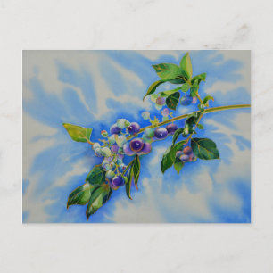Elegante Blueberry waterverf schilderij Briefkaart