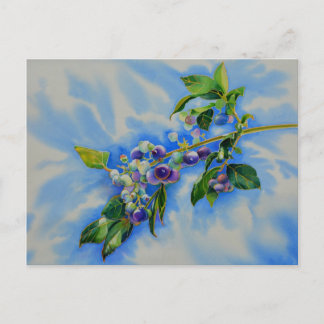 Elegante Blueberry waterverf schilderij Briefkaart