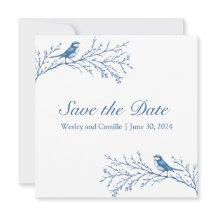 Elegante Bluejays op een tak