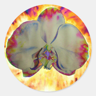 Elegante boho abstracte waterverf orchidee schilde ronde sticker