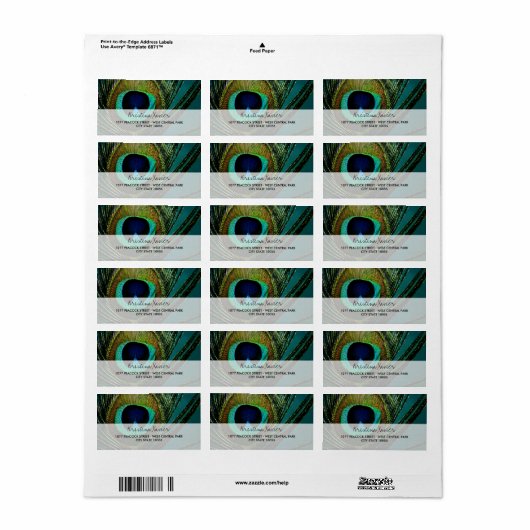 Elegante Boho Chic Peacock Feather Foto Adres Etiket (Full Sheet)