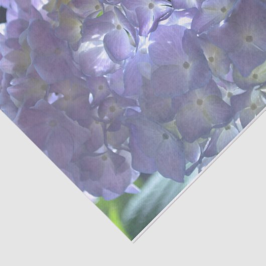 Elegante boho stoffige lichte paarse bloemen tissuepapier (Detail)