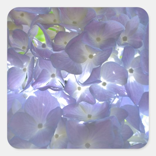 Elegante boho stoffige lichte paarse bloemen vierkante sticker (Voorkant)