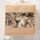 Elegante bonttextuur etiket (Insitu)