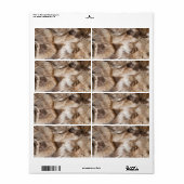 Elegante bonttextuur etiket (Full Sheet)