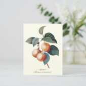 Elegante botanische  abrikoos briefkaart (Staand voorkant)