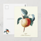 Elegante botanische abrikoos briefkaart (Voorkant / Achterkant)
